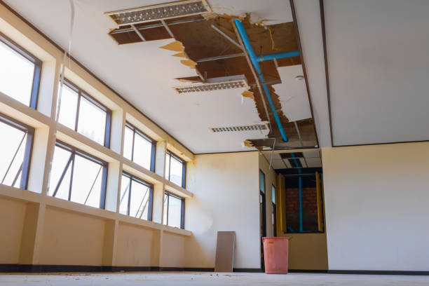 Best Carpet water damage restoration  in Tupelo, MS
