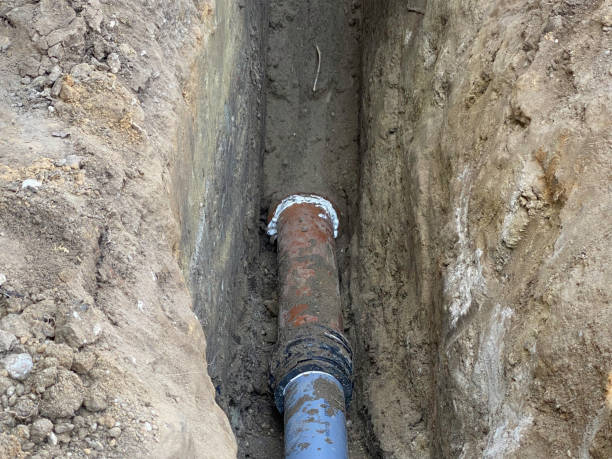 Best Sewage cleanup and water damage restoration  in Tupelo, MS