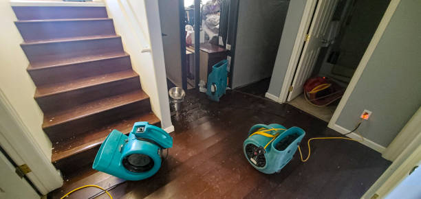 Best Sewage cleanup and water damage restoration  in Tupelo, MS
