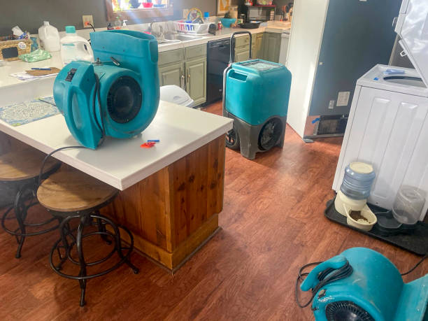 Best Basement water damage restoration  in Tupelo, MS