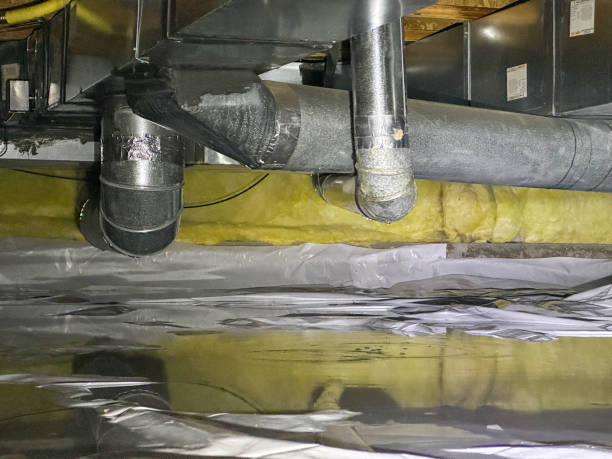 Best Fire Damage Restoration  in Tupelo, MS