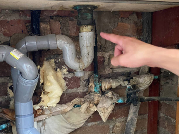 Best Water damage restoration near me  in Tupelo, MS