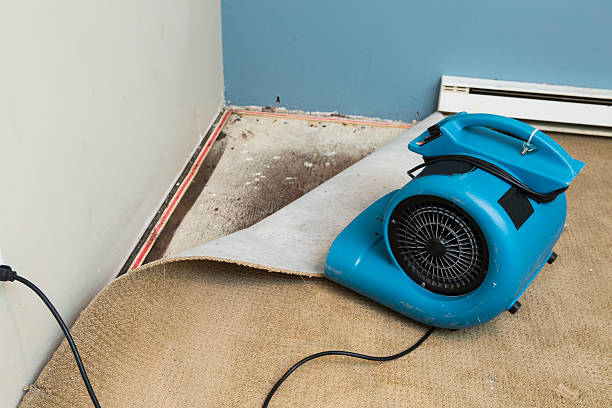 24/7 water damage repair in Tupelo, MS